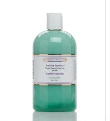 Simply Divine Foaming Cleanser