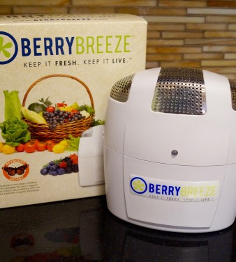 berryBreeze